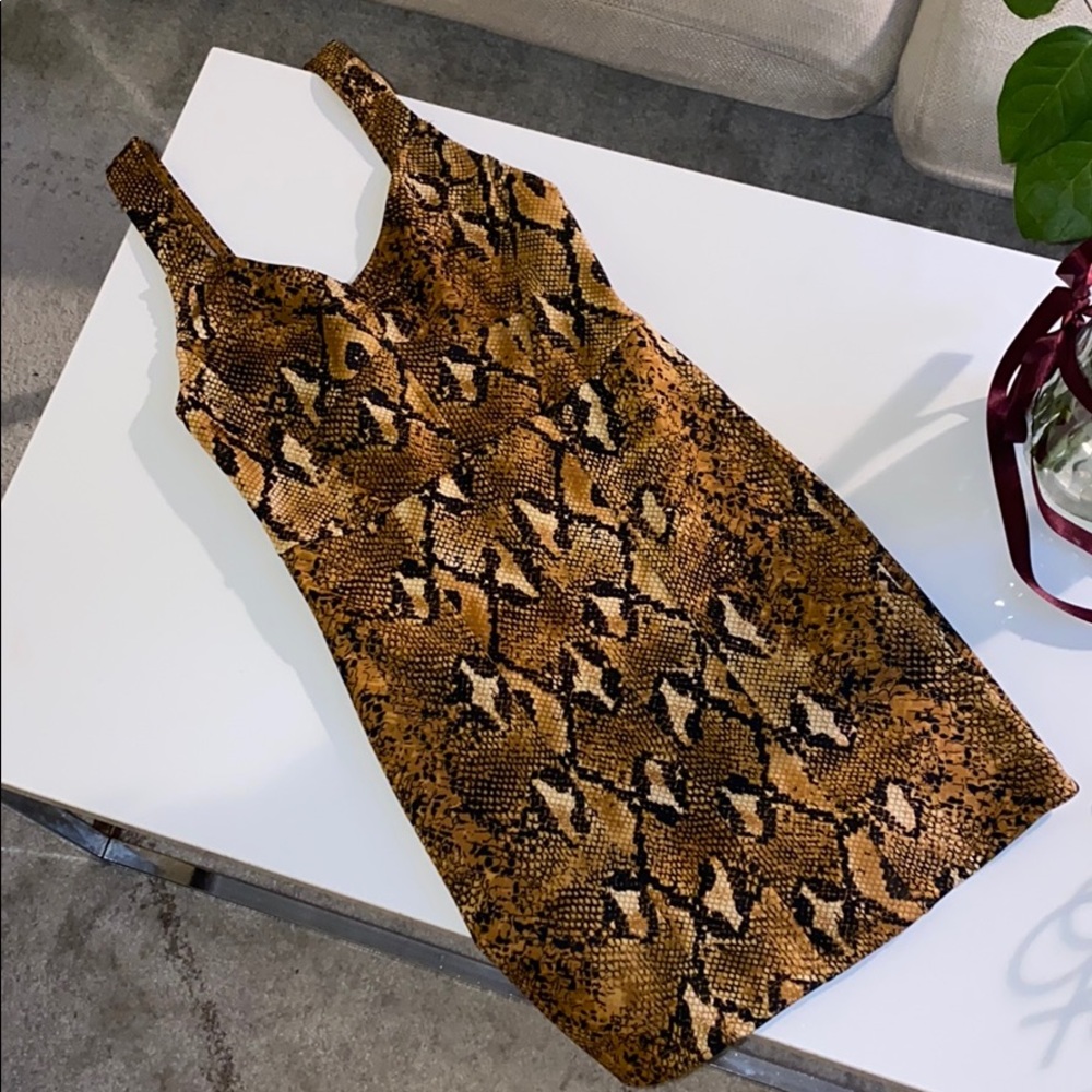 Limited Edition Zara Mini Dress